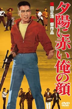赤陽