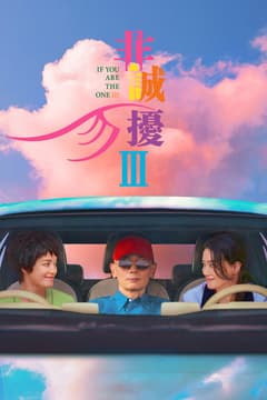 非誠勿擾3