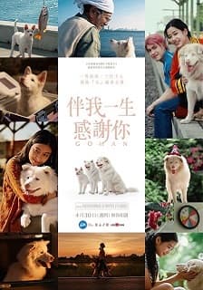 伴我一生感謝你