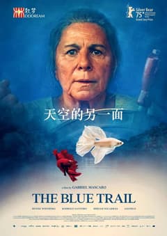 藍色亞馬遜